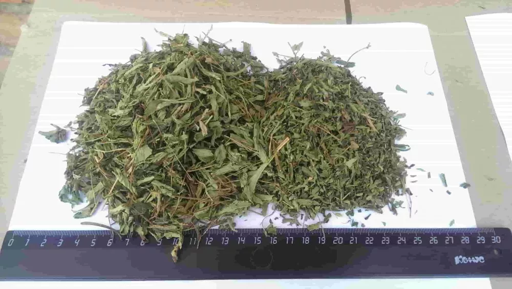 стевиозид склад1