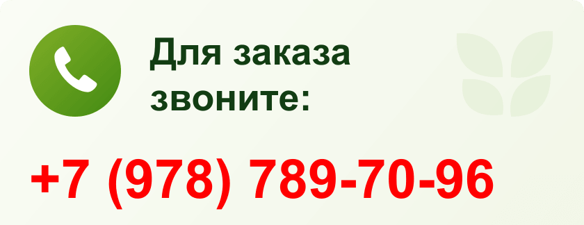 Контакты